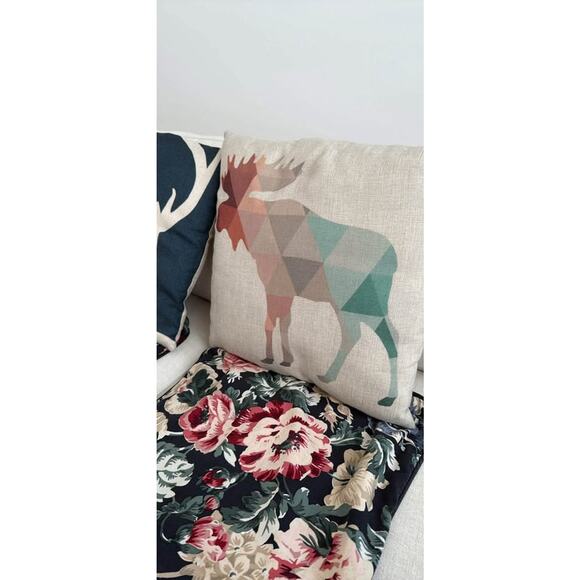 TWO Decorative & throw pillow, 2 types of covers included - Picture 4 of 5